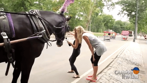 petra-kvitova-horsing-around